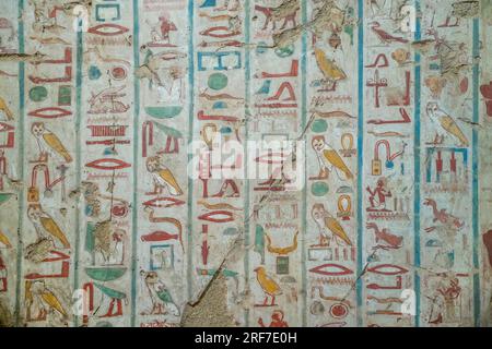 Hieroglyphen, Grab des Wesir Rechmire, TT100, Gräber der Noblen, Theben-West, Ägypten Foto Stock