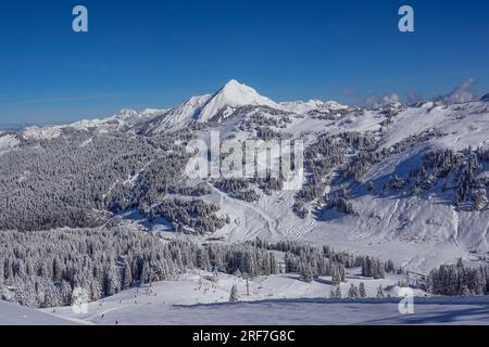 Mont de Grange, Chatel, Wintersportgebiet Portes du Soleil, alta Savoia, Frankreich Foto Stock