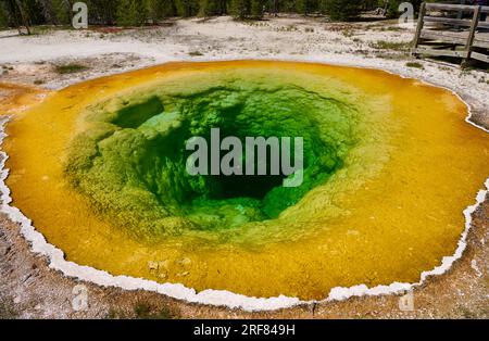 Morning Glory Pool, Upper Geyser Basin, Yellowstone National Park, Wyoming, Stati Uniti d'America Foto Stock