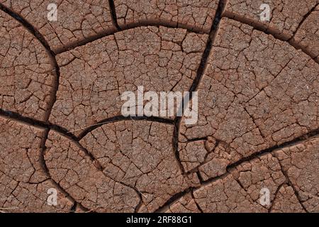 Terreno incrinato nella texture o sullo sfondo del deserto Foto Stock