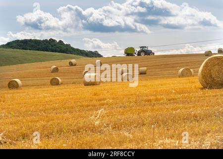 Balle di paglia al sole estivo su una collina in Ungheria con un trattore sullo sfondo. Foto Stock