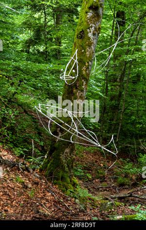 Horizons 'Arts-Nature' 2023 a Sancy. Anadrome di Camille Mansir. Puy de Dome. Alvernia Rodano Alpes. Francia Foto Stock