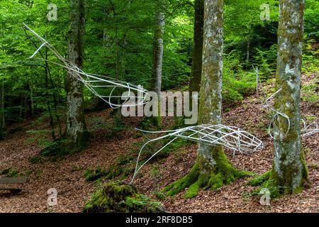 Horizons 'Arts-Nature' 2023 a Sancy. Anadrome di Camille Mansir. Puy de Dome. Alvernia Rodano Alpes. Francia Foto Stock