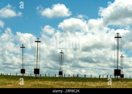 Horizons 'Arts-Nature' 2023 a Sancy. ZEITGEIST#4 opera di Virgile Abela. Puy de Dome. Alvernia Rodano Alpes. Francia Foto Stock