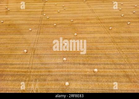 Vista aerea di molte balle di paglia su un campo agricolo in estate secca, Germania Foto Stock