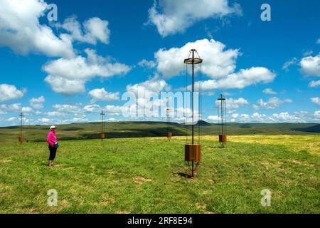 Horizons 'Arts-Nature' 2023 a Sancy. ZEITGEIST#4 opera di Virgile Abela. Puy de Dome. Alvernia Rodano Alpes. Francia Foto Stock