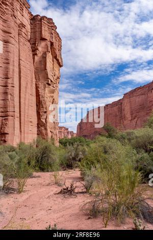 Il Giardino Botanico nella Gola di Talampaya nel Parco Nazionale di Talampaya in Argentina. Foto Stock