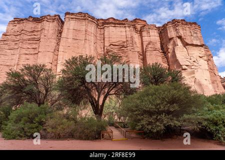 Il Giardino Botanico nella Gola di Talampaya nel Parco Nazionale di Talampaya in Argentina. Foto Stock