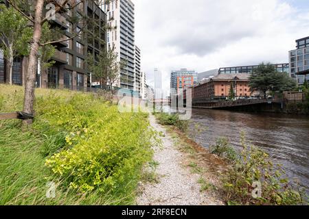 Sviluppo urbano lungo il fiume Irwell, Salford, Borough of Greater Manchester. Il fiume divide Salford e Manchester. Foto Stock