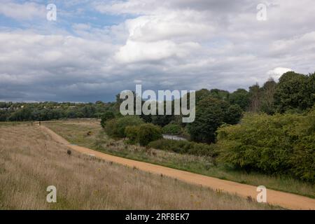 Sentiero nelle zone umide di Kersal una pianura alluvionale lungo il fiume Irwell. Salford, Borough della Greater Manchester. Il fiume divide Salford e Manchester. Foto Stock