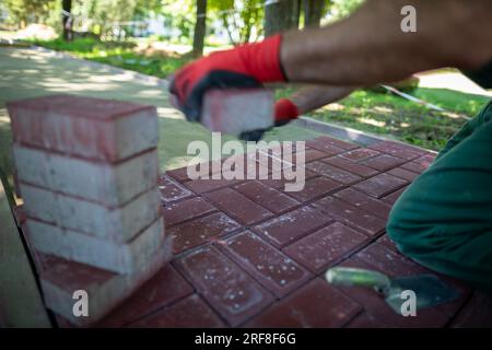 Un esperto lavoratore di pavimentazione si inginocchia durante la posa di pietre di pavimentazione. Foto Stock