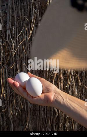 La mano di una donna che tiene con la mano destra due uova bianche appena catturate da un pollaio di una fattoria ecologica e rispettosa degli animali. Defoc Foto Stock