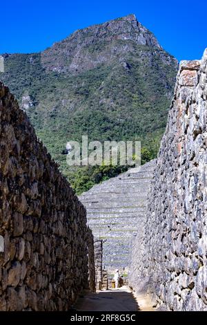 Architettura residenziale e terrazze agricole, rovine inca di Machu Picchu, Perù, Sud America Foto Stock