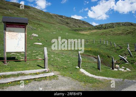 Noguera Pallaresa, sorgenti o sorgenti a Pla de Beret, Lleida, Catalogna, Spagna. Foto Stock