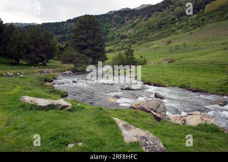 Noguera Pallaresa corso di fiume superiore a Montgarri, Lleida, Catalogna, Spagna. Foto Stock