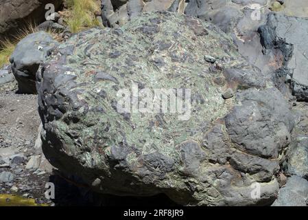 La lava a cuscino è lava con caratteristiche strutture a forma di cuscino attribuite all'estrusione e al consolidamento sott'acqua. Questa foto è stata scattata a Barran Foto Stock