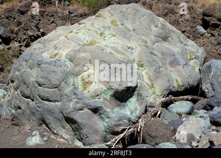 La lava a cuscino è lava con caratteristiche strutture a forma di cuscino attribuite all'estrusione e al consolidamento sott'acqua. Questa foto è stata scattata a Barran Foto Stock