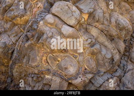 La lava a cuscino è lava con caratteristiche strutture a forma di cuscino attribuite all'estrusione e al consolidamento sott'acqua. Questa foto è stata scattata a Barran Foto Stock