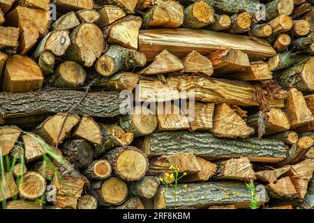 Catasta di legna da ardere, fonti di energia rinnovabili Foto Stock