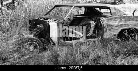 Vecchia auto abbandonata lasciata nel campo della fattoria Foto Stock