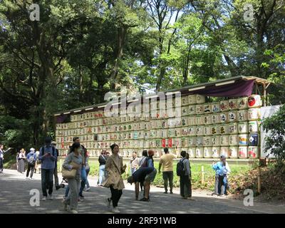 Vista dell'approccio principale al Santuario Meiji Jingu, Tokyo, con le file di botti di sake offerte dall'industria della birra e dai giapponesi. Foto Stock
