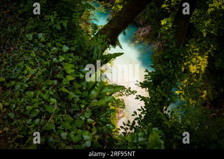 Paesaggio selvaggio del fiume Soca, uno dei fiumi più belli e limpidi d'Europa, che attraversa le Alpi slovene Foto Stock