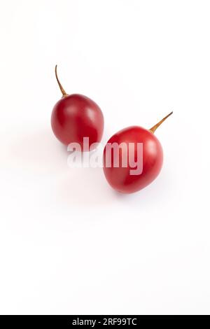 Tamarillo fresco isolato su fondo bianco. Frutta commestibile a forma di uovo nota come Tree Tomato, famiglia di piante Solanaceae, Solanum Betaceum. Vista dall'alto Foto Stock