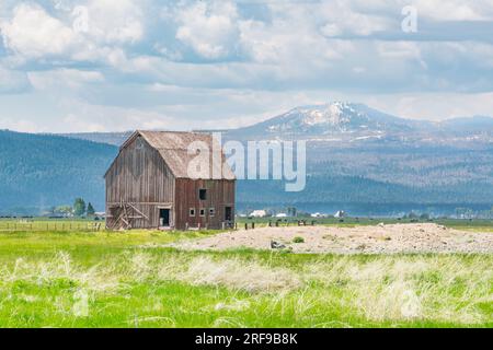 Vecchio fienile in legno nel campo agricolo delle Cascade Mountains dell'Oregon Foto Stock