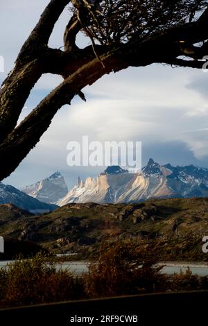 Massiccio del Paine (Cuerno Paine Grand e Cuerno Principal) nel Parco Nazionale Torres del Paine in Cile. Foto Stock