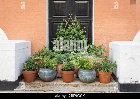 Carlisle Place, Westminster, Victoria Business Improvement District Foto Stock