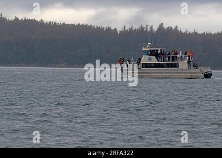 Barca per l'avvistamento delle balene a Juneau Foto Stock