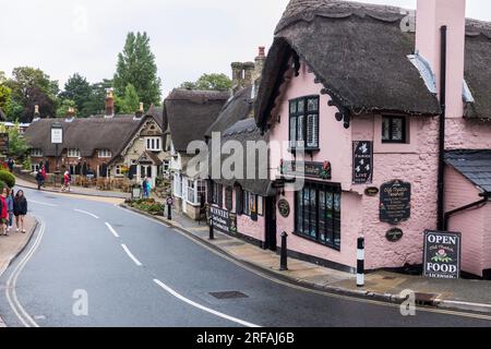 I pittoreschi tetti di paglia del vecchio villaggio di Shanklin nell'Isola di Wight, Inghilterra, Regno Unito Foto Stock