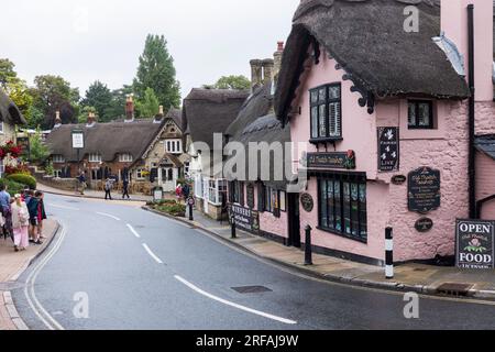 I pittoreschi tetti di paglia del vecchio villaggio di Shanklin nell'Isola di Wight, Inghilterra, Regno Unito Foto Stock