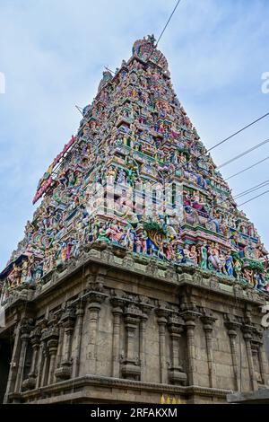 La Torre d'ingresso del Tempio di Kapaleeshwarar a Mylapore, Chennai, India Foto Stock