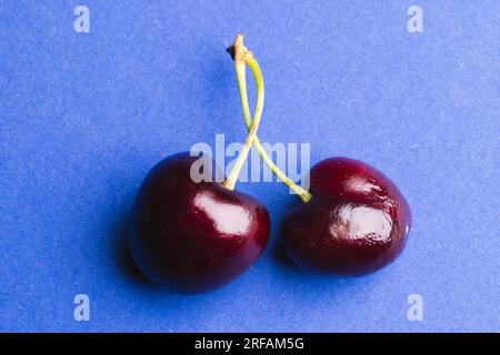 Primo piano di due ciliegie e spazio di copia su sfondo blu Foto Stock