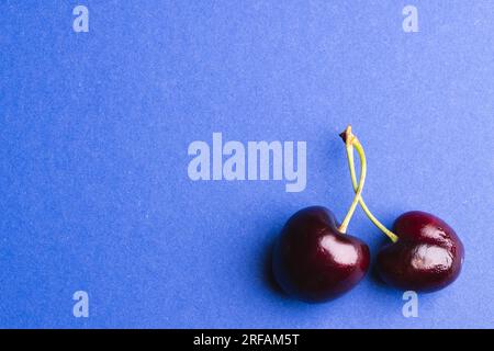 Primo piano di due ciliegie e spazio di copia su sfondo blu Foto Stock