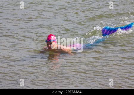 Sirenetta in mare a Swanage, Dorset, Regno Unito, a luglio Foto Stock