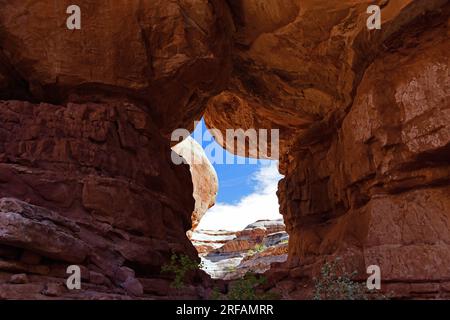 formazione naturale di arco di roccia rossa lungo il sentiero primaverile collins nella grande area di gulch di cedro mesa vicino a blanding, utah Foto Stock