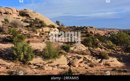 spettacolari formazioni di roccia rossa lungo il sentiero primaverile collins in una giornata di sole nella grande area di gulch di cedro mesa vicino a blanding, utah Foto Stock