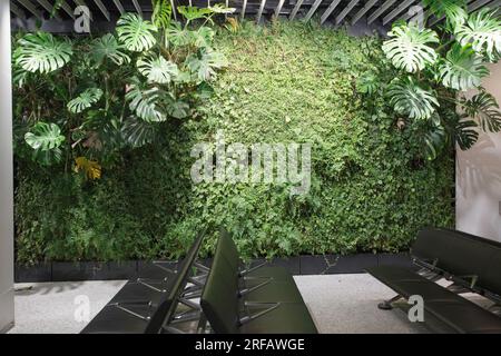 Un muro vivente all'aeroporto di Schipol ad Amsterdam Foto Stock