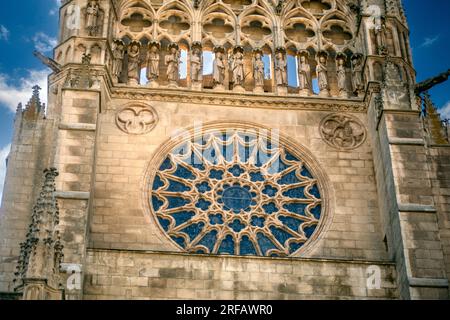 Finestra rosa di una delle facciate laterali della Cattedrale di Burgos, Castilla y Leon, Spagna Foto Stock