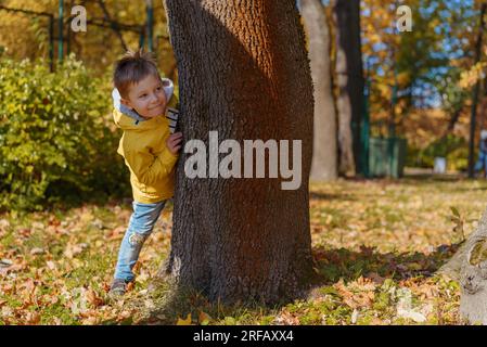 un grazioso ragazzo caucasico si nasconde dietro gli alberi nel parco autunnale. giocare all'aperto. Foto di alta qualità Foto Stock