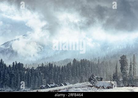 Gulmarg: Un paradiso per gli amanti della natura Foto Stock