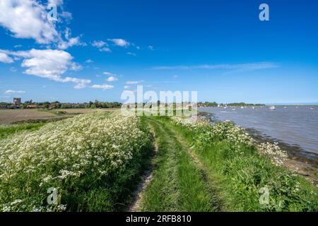 Una vista di Orford Quay, del castello e della chiesa sulla costa del Suffolk, Inghilterra, Regno Unito Foto Stock