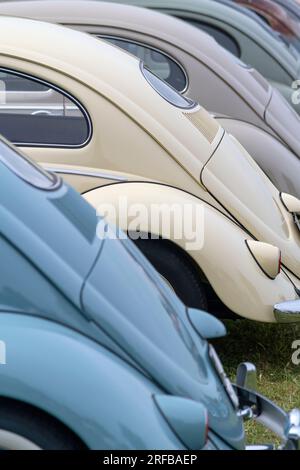 Regno Unito, Inghilterra, Suffolk, Lavenham, Salone dell'automobile Volkswagen, VW Beetles Foto Stock