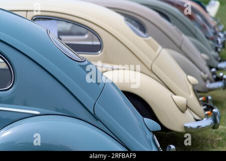 Regno Unito, Inghilterra, Suffolk, Lavenham, Salone dell'automobile Volkswagen, VW Beetles Foto Stock