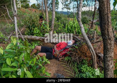 Ngaizuol, 23 anni, un giovane Kuki armato, si nasconde nella giungla durante un programma di addestramento in un villaggio a Churachandpur, nello stato indiano nord-orientale di Manipur. I giovani delle tribù Kuki-Zo a Manipur hanno preso le armi per proteggere il loro villaggio da minacce esterne, in particolare dai loro nemici, i Meiteis, che vivono nella valle. Con un forte senso di unità e determinazione a proteggere la loro terra, i giovani del villaggio hanno formato una forza di difesa e si sono armati di fucili a canna singola approvati dal governo di Manipur. Gli scontri tra le tribù Meitei e Kuki-Zo continuano ev Foto Stock