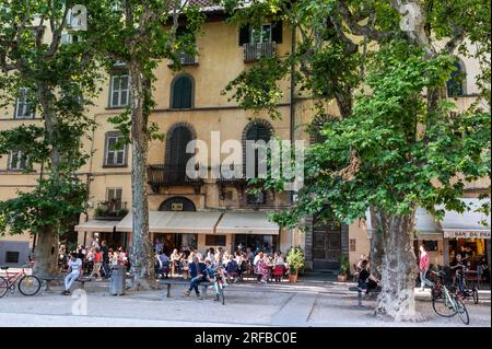 Piazza Napoleone nella città di Lucca nella regione Toscana d'Italia. E' una grande piazza circondata da negozi e vari ristoranti Foto Stock