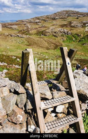 Sentiero stile sulla Cambriana Way (Taith Cambria) a Bwlch Gwylim nei Rhinogs nel Parco Nazionale di Snowdonia. Trawsfynydd, Gwynedd, Galles, Regno Unito, Gran Bretagna Foto Stock