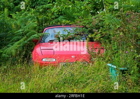 Auto sportiva rossa, Mazda MX-5 Miata, che torna nella natura, Inghilterra, Regno Unito Foto Stock